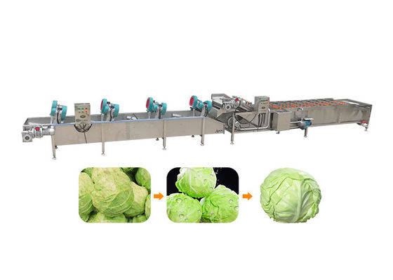 5.1KW 380v 50hz 1500kg / H Maszyna do czyszczenia warzyw