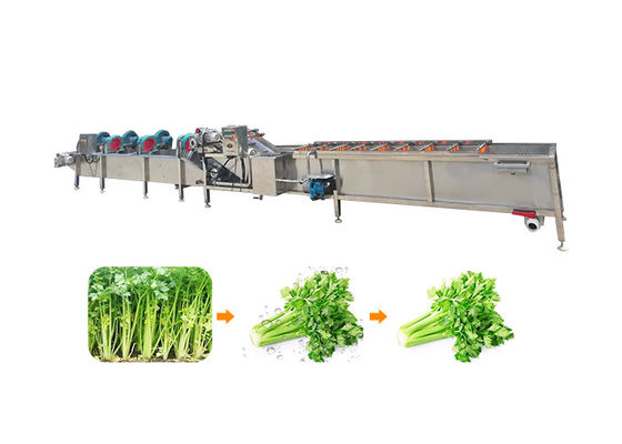 Ss304 1500kg / H Maszyna do przetwarzania owoców i warzyw