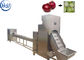 SUS304 Sprzęt do przetwarzania cebuli Maszyna do obierania skórek cebuli Wysoka wydajność