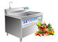 Maszyna do mycia warzyw ze szpinakiem 150 kg / h do kłączy i marynowanych owoców