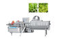 1000 kg / H Maszyna do cięcia sałaty z zielonych liści do sałatek owocowych