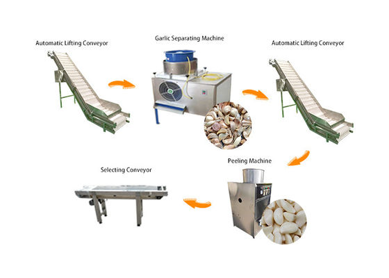 Wysokowydajna linia produkcyjna do przetwarzania czosnku / maszyna do obierania czosnku