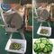 Catering Enterprises Zielony liściasty nóż do warzyw, maszyna do cięcia ziemniaków