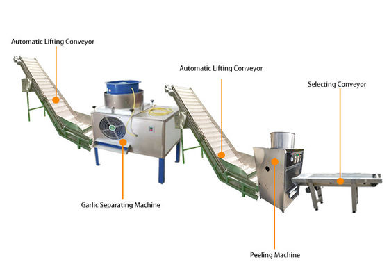 7kw Automatyczna linia produkcyjna do obierania czosnku o wydajności 2000 kg / h